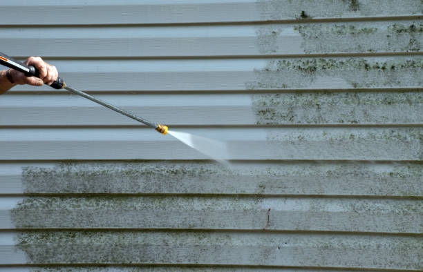 Why Choose Our Certified Pressure Washing Experts for Your Project Needs in Black Hammock, FL?