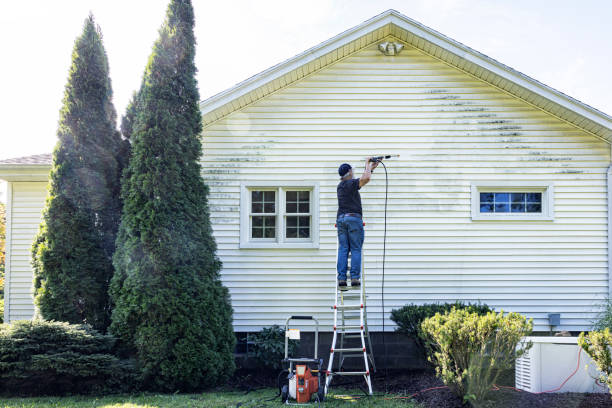 Best Commercial Building Pressure Washing  in Black Hammock, FL