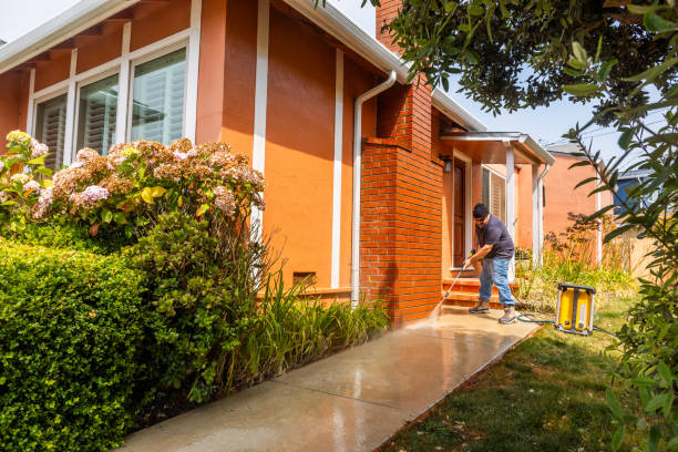 Best House Pressure Washing  in Black Hammock, FL