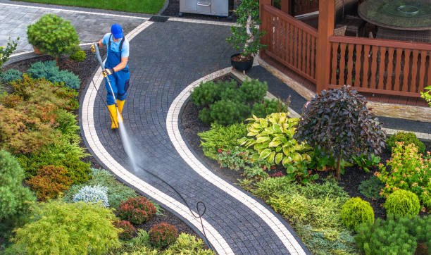 Best Residential Pressure Washing Services  in Black Hammock, FL